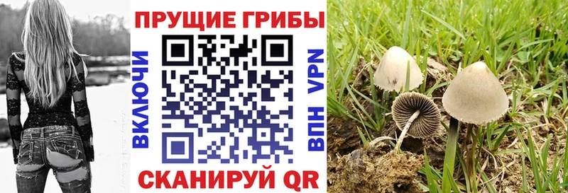 Галлюциногенные грибы мухоморы  Реж 